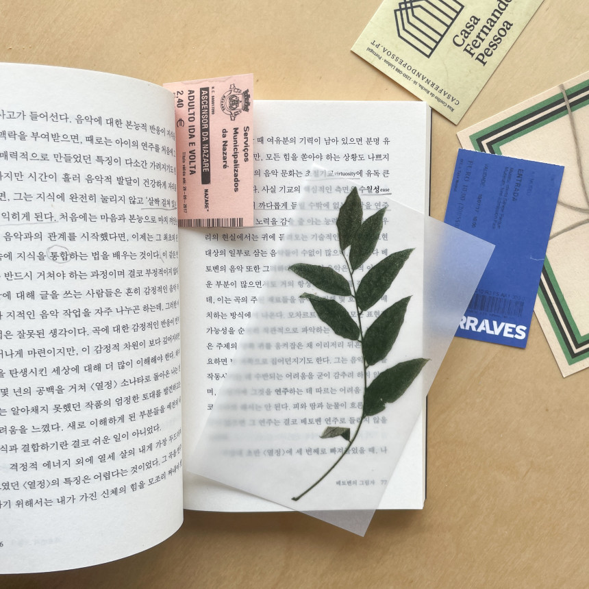 e3cafccdd7999144a8a7ff875c3fb42e_1728355539_1995.jpg e3cafccdd7999144a8a7ff875c3fb42e_1728355539_1995.jpg