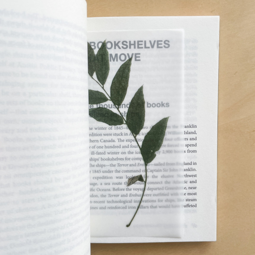 e3cafccdd7999144a8a7ff875c3fb42e_1728355539_7722.jpg e3cafccdd7999144a8a7ff875c3fb42e_1728355539_7722.jpg