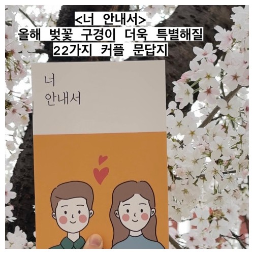 벚꽃비 맞으며 읽기 좋은 책 3 『너 안내서』