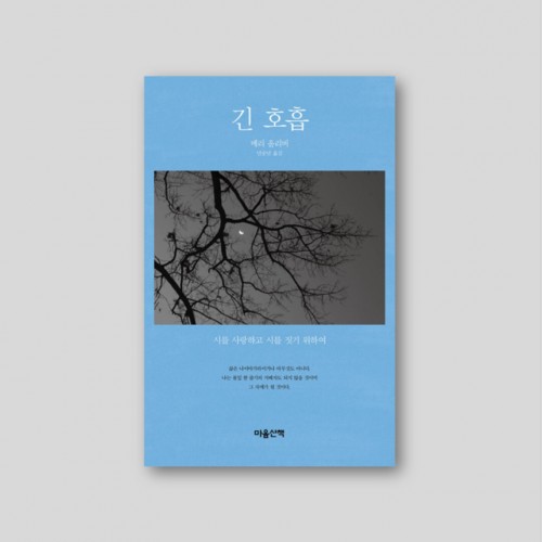 [한강 작가 추천] 긴 호흡 - 시를 사랑하고 시를 짓기 위하여